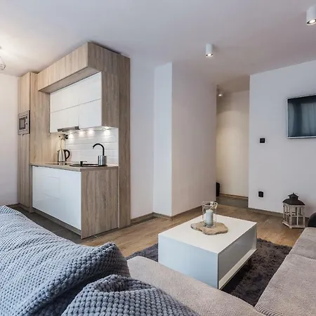 Piaseckiego Centrum Apartment Zakopane